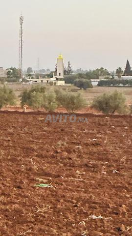 هكتار فيه الماء والكهرباء 2 كم من تيفلت هميزة