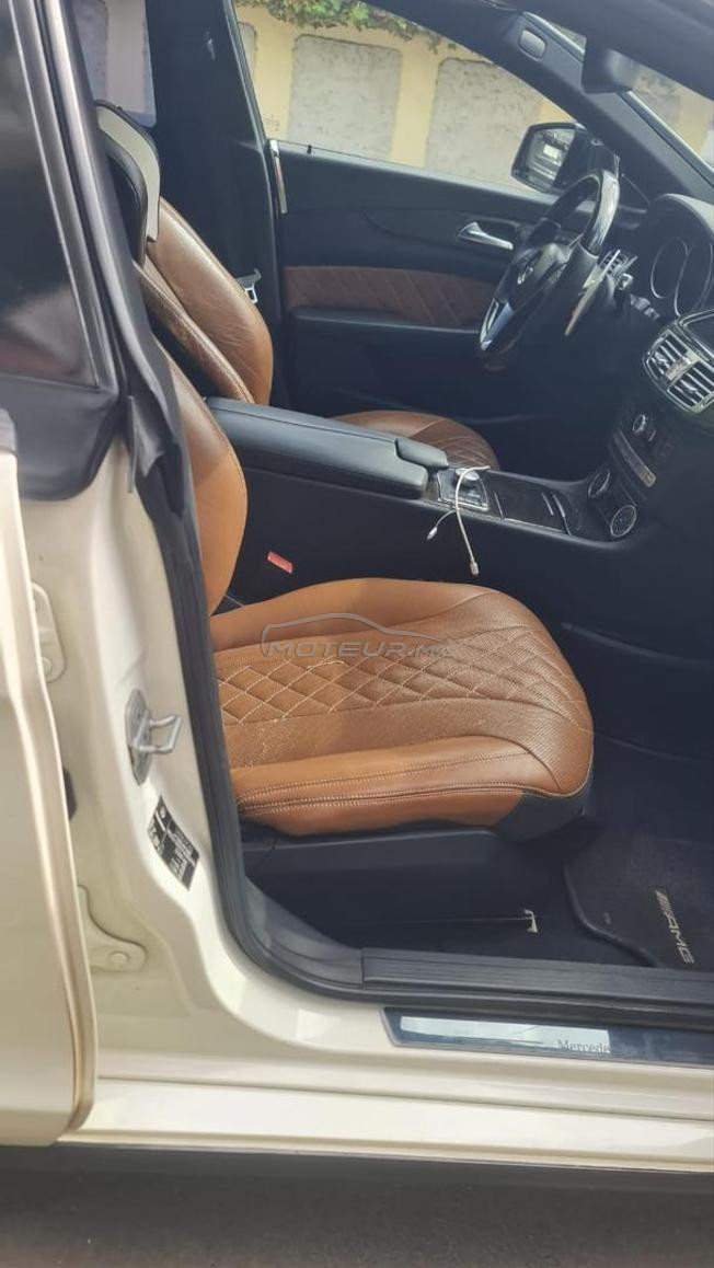 cls AMG2011