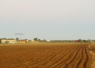 Hectare bonne affaire, bien situé à 2km de Tiflet