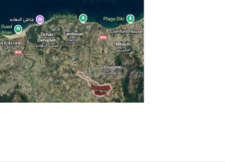 VENDS TERRAIN AU VILLAGE HASSANA PRES KSSAR SGHIR