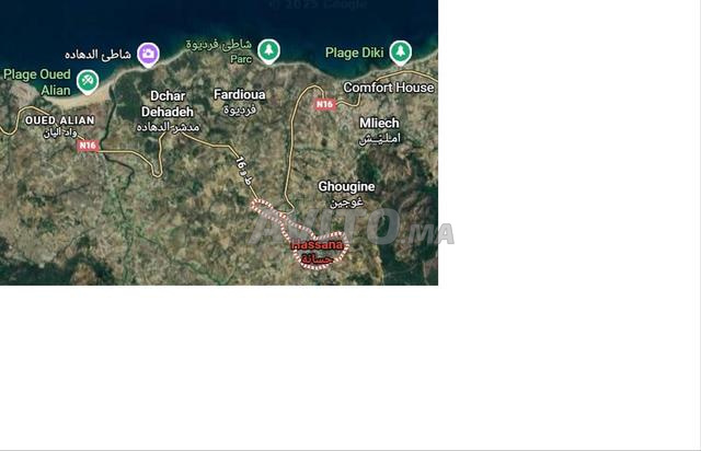 بيع أرض في قرية الحسنة قرب قصر الصغير