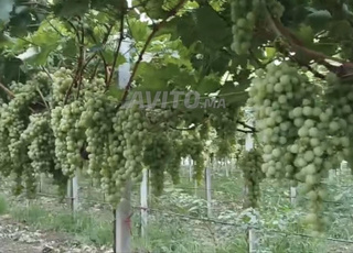 fermé sublime à vendre