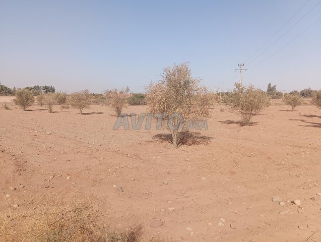 Terrain de 2 736 mXm Rte Abdellah Riyyat