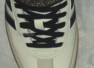 Samba couleur limité importé 2025