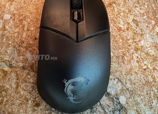 Souris gamer MSI GM11