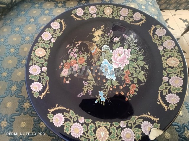 طاووس حر عنده خمسون عامًا للبيع