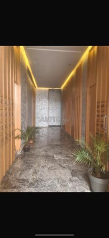 Appartement à louer neuf jamais abitè