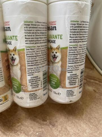 Offre lavante sans rinçage pour chien et chats