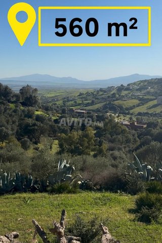 Terrain à vendre 560 mètres Meloussa Arrouman