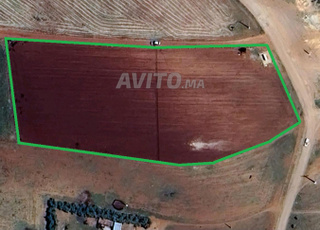Terrain agricole de 6 000 m2, à vendre