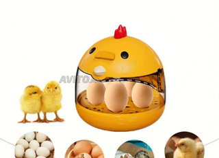 فقاسة البيض للأطفال