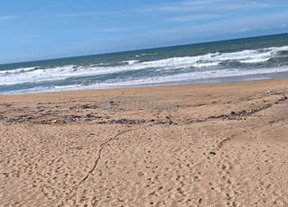 Terrain touristique directement sur la mer