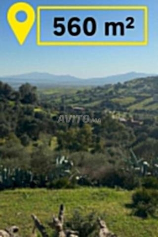 قطعة أرضية للبيع 560 متر بملوسة على الطريق واجهتين