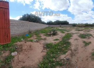 Terrain 900 mXm Melkiyya Rte sidi Riyyat Tamazozt