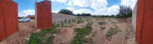 Terrain 900 mXm Melkiyya Rte sidi Riyyat Tamazozt