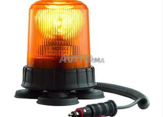 جيروفار بوش مع مغناطيس