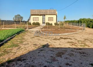 مزرعة موثقة للبيع