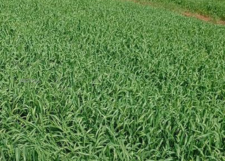 Appartement à vendre Sidi Moumen, premier étage