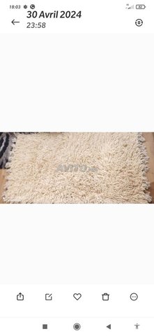 سجاد طويل من الصوف الخالص أبيض مائل للكسر