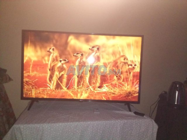 تلفاز ذكي TV 43 LG REF. 43LM63 جديد