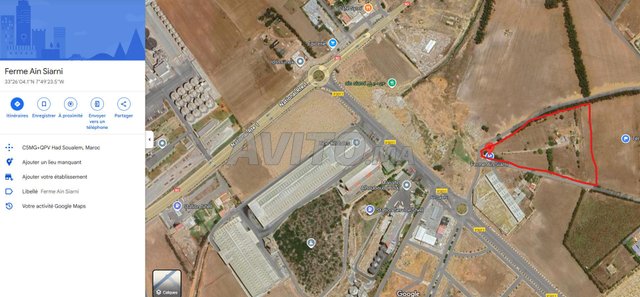 Ferme et terrain 3,5 hectares à vendre Had Soualem