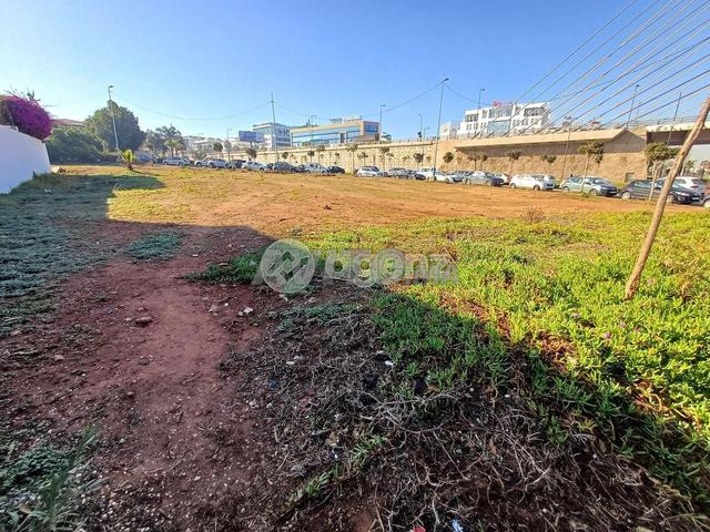 CMN-AC-1870 - أرض للبيع في كاليفورنيا