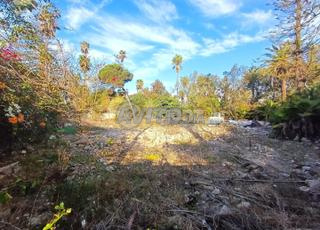 CMN-MA-1830 - أرض للبيع في الواحة