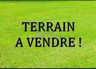 أرض للبيع بمساحة 1190 متر مربع في إيليغ