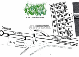 Vente terrain titré Bouskoura Nouacer