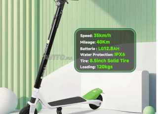 les trottinettes électrique