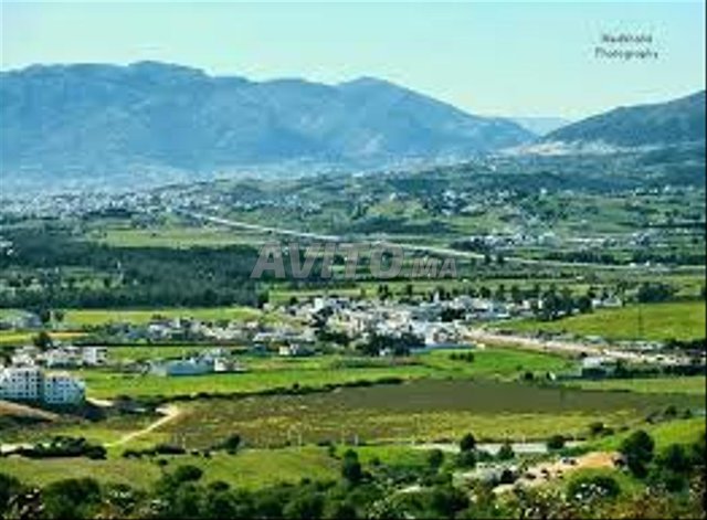 Cinq hectares à vendre à Mlaliiene