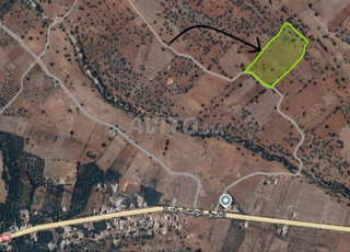 Terrain agricole à Tighboula, province de Beni Mellal