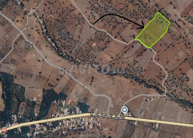 Terrain agricole à Tighboula, province de Beni Mellal