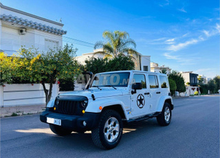 جيب وانجلر صحارى