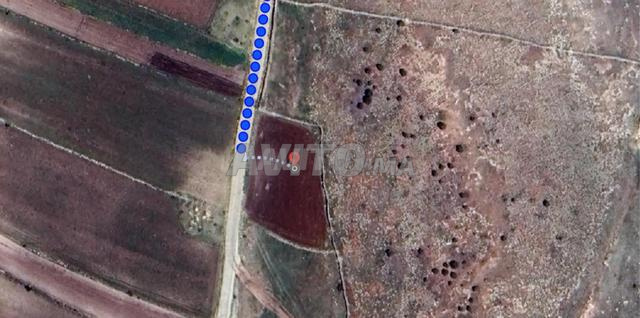 إعلان عن بيع أرض فلاحية بحد حرارة تمن مناسب