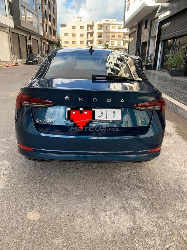 skouda octavia