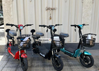 Amateurs de vélos électriques