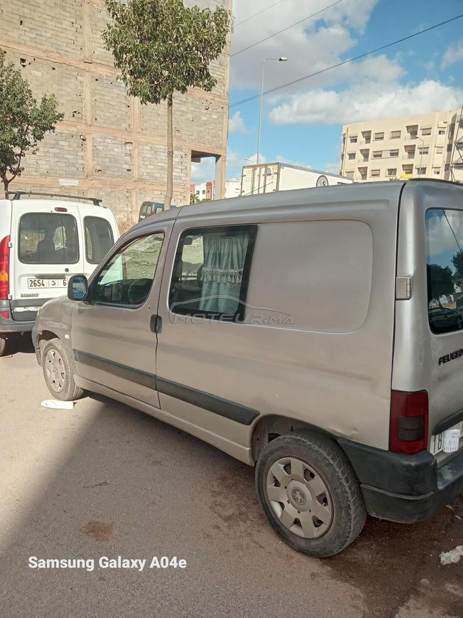 بيجو برتنير شينوي