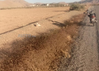 سلام أرض للبيع