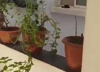 شقة للإيجار عين السبع القنيطرة