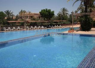 بالميراي المرجع 097