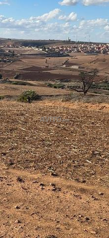 Tiflet hectare et six Khaddama Mahafda Hamza complet à 38 millions