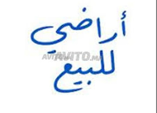 Terrain agricole titré à vendre 5 hectares province de Benslimane