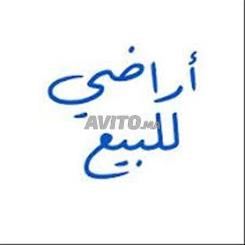 أرض فلاحية تيتر للبيع 5 هكتارات إقليم بنسليمان