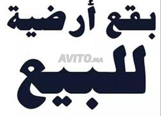 بقع ارضية تيتر للبيع 246م إلى 3000م وأكثر بالبيضاء