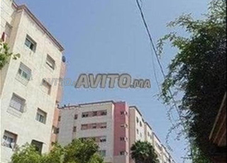 Meublés 3Filles ou 3Hommes Célibataires Couple