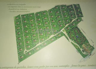 Terrain de 40 hectares à vendre