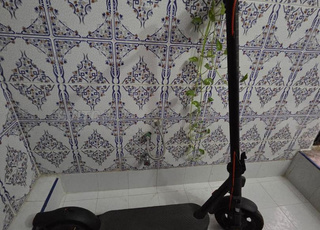 Trottinette électrique Xiaomi elite