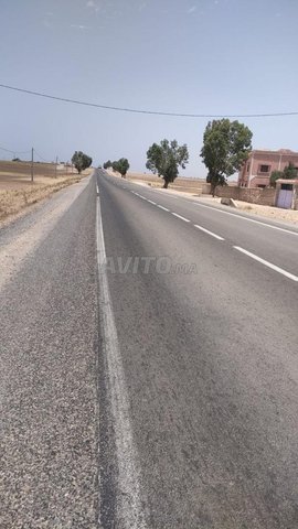 Terrain entre Safi et Casa route nationale n'1