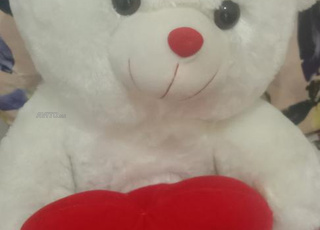 ما زالوا جدد